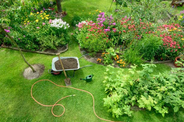 Elevated View of a garden