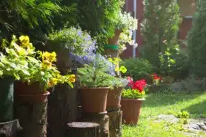 Decorative flowers on a logs at springtime