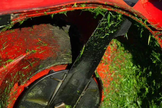 mower blade of the garden lawnmower shortly after use and before cleaning