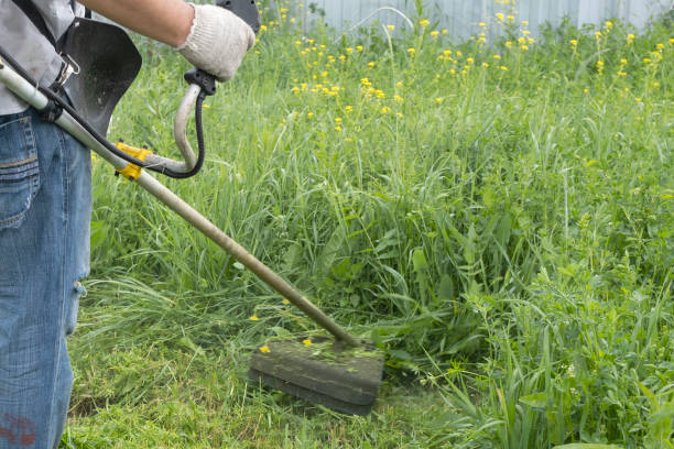 A man mows the thick tall grass with a gasoline trimmer. The lawn mower's work