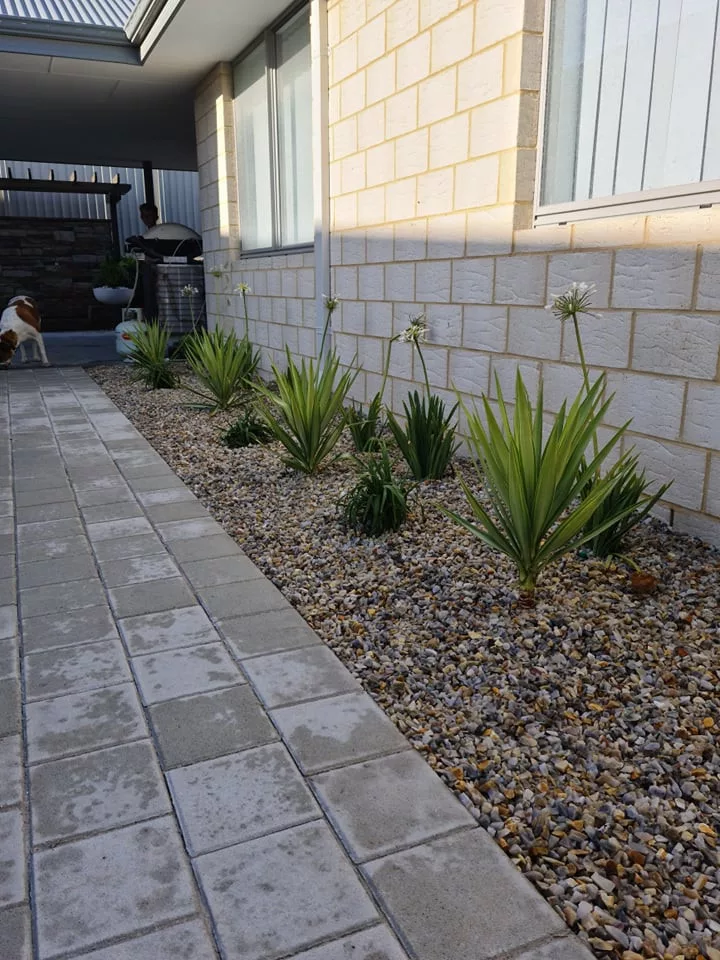 Garden shrubs with pebbles.