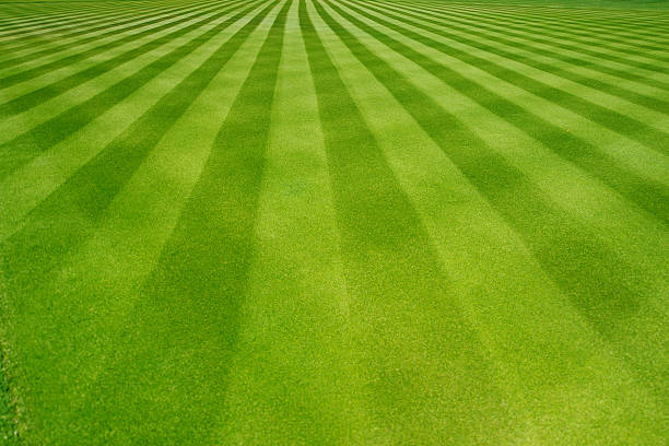 Perfectly striped freshly mowed garden lawn in summer