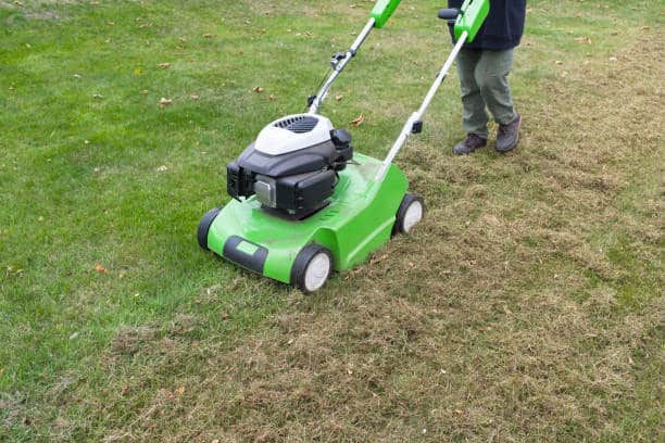 Scarify lawn, lawn aeration using a scarifier