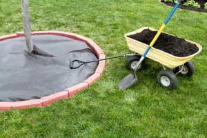 Mulch is waiting to be dumped in the cart. Weed barrier is nicely layed around the tree with edging bricks.