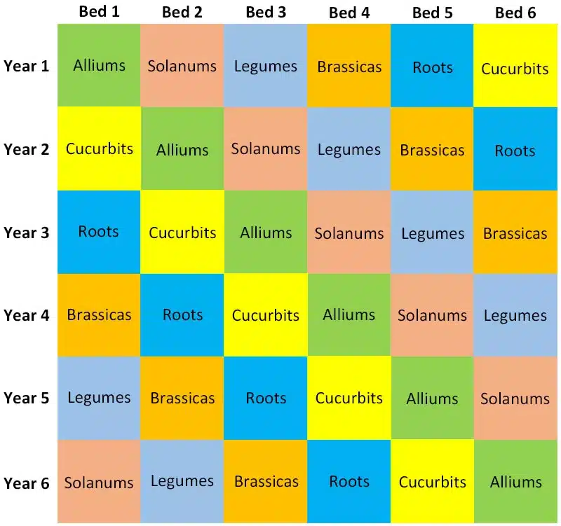 A simple crop rotation plan