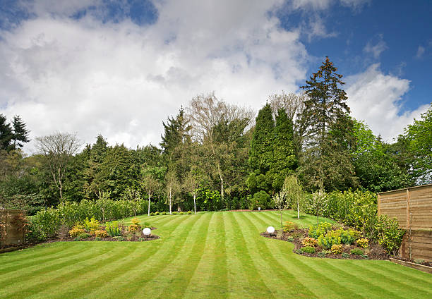 Garden view of a mowed striped lawn