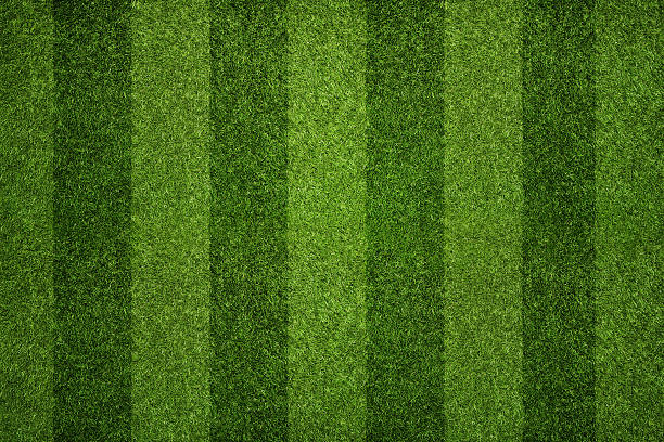 Empty striped soccer field texture, background with copy space cut with a cylinder mower