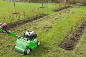 Woman scarifying a garden lawn with a scarifier. Scarification of turf, a spring garden maintenance job in England, UK