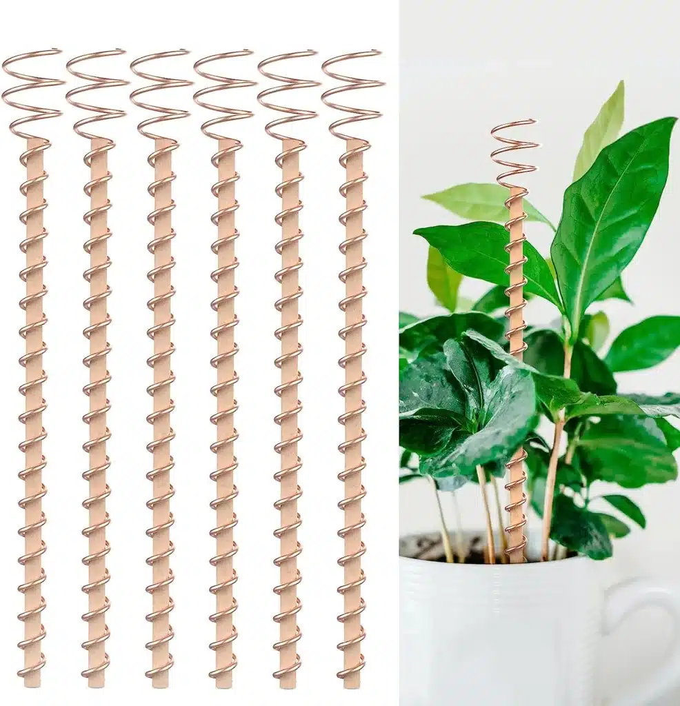 
Electroculture Plant Stakes, 6 Pack Electroculture Gardening Copper Coil Antennas for Growing Garden Plants and Vegetables with Electro Culture Copper.