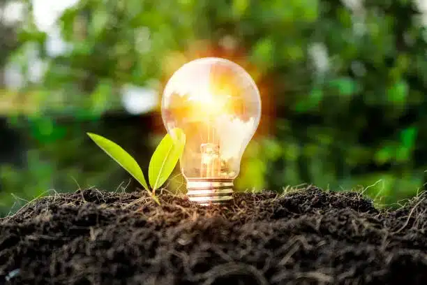 Growth concept. Including learning, education, investment, business sector, technology, innovation. Comparison of bulbs grown in the soil and illuminating the sides, with leaves