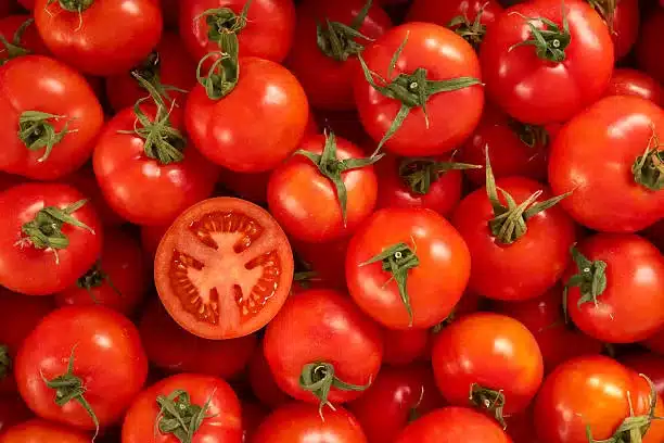 Healthy Tomatoes