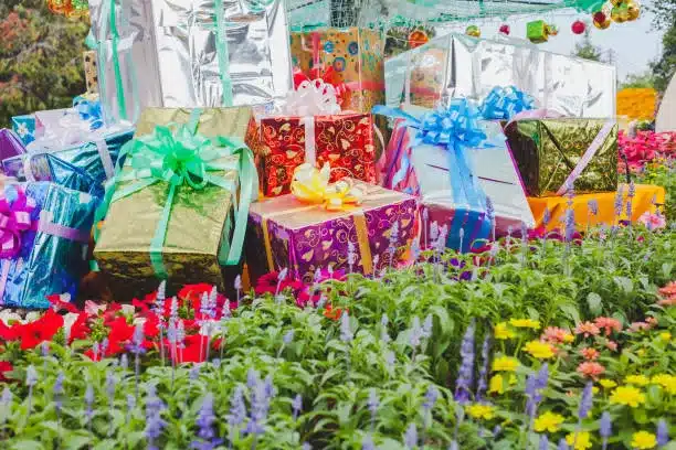 Gift box in flower garden, Image for Christmas holiday.