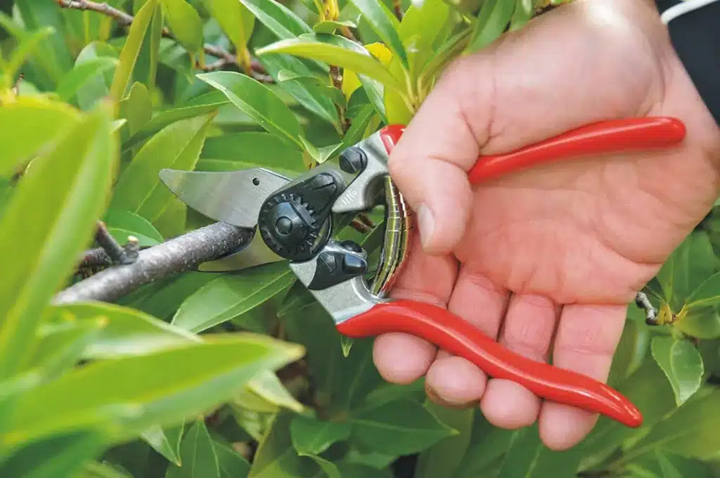 Felco Pruning Shears (F 6) - High Performance Swiss Made One-Hand Garden Pruners