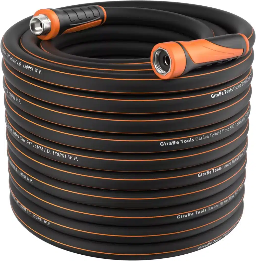 A black garden hose neatly rolled up.