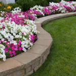 Pink and White Petunias on the flower bed along with the grass