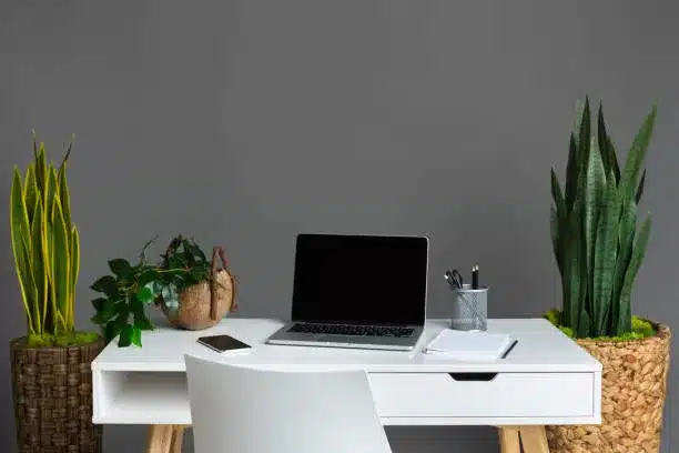 Cozy home office. Laptop with blank screen and various plants, free space