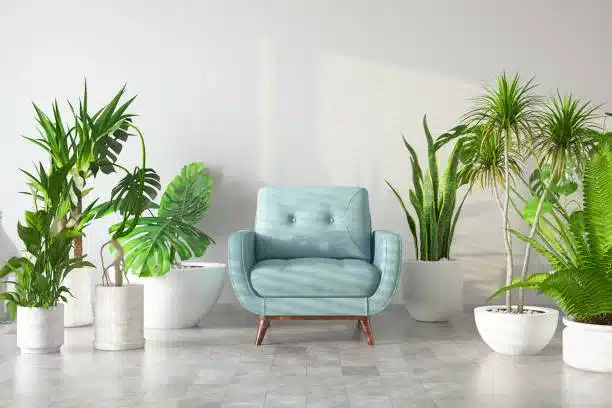 Armchair with Green Thriving Houseplants and Cactuses. 