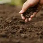 Expert hand of farmer checking soil health before growth a seed of vegetable or plant seedling. Gardening technical, Agriculture concept.